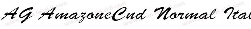 AG AmazoneCnd Normal Italic字体转换